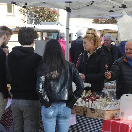 Logies Het Maantje De Panne