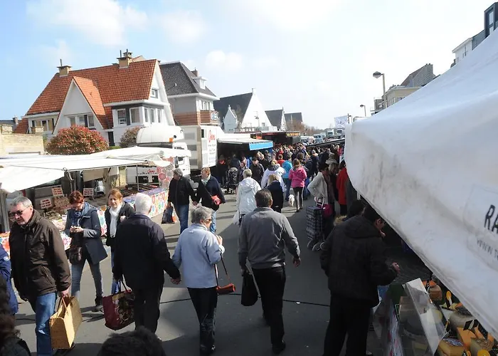 Guest house Logies Het Maantje De Panne