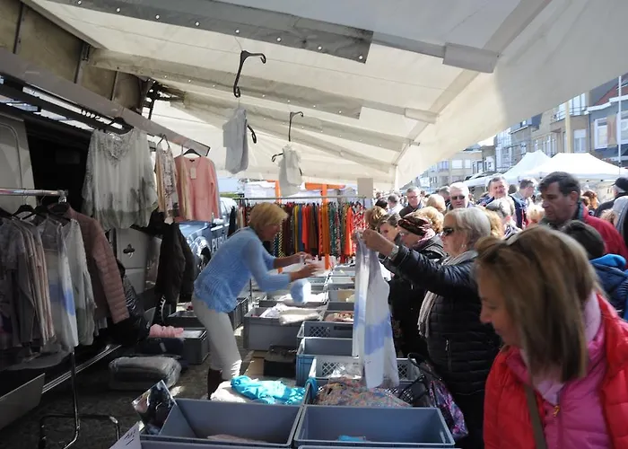 Logies Het Maantje De Panne