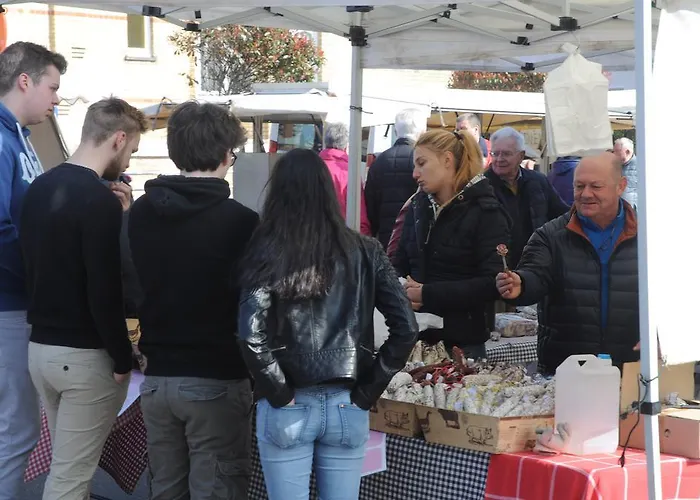 Logies Het Maantje De Panne
